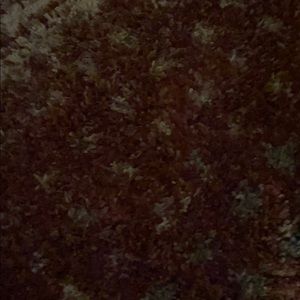 Meet your Posher, Arlene